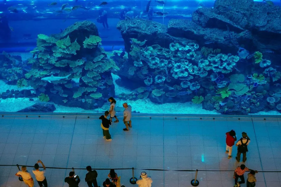 Dubai aquarium