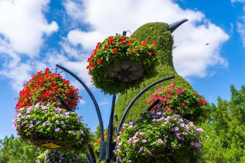 dubai miracle garden bilety