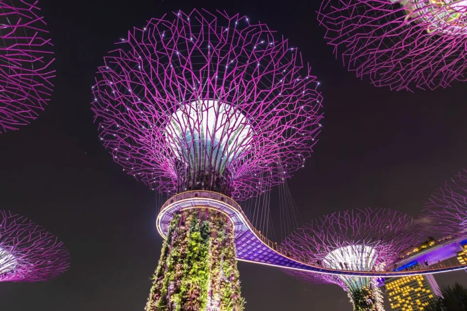 gardens by the bay