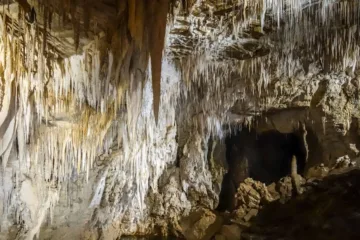 waitomo glowworm caves