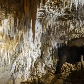 waitomo glowworm caves