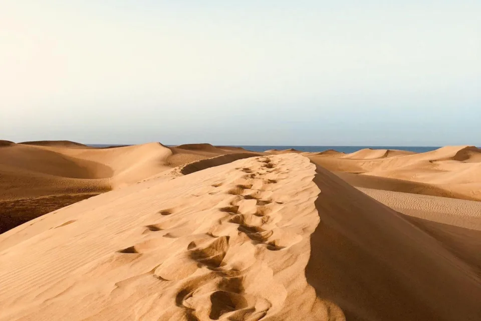 dunas de maspalomas