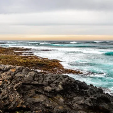 el cotillo