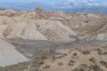 tabernas