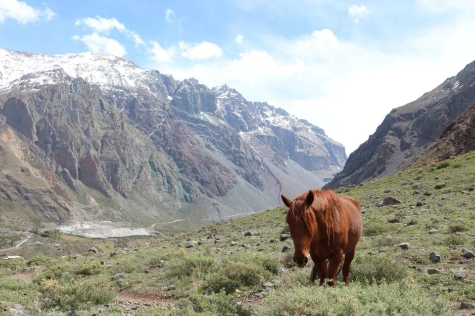 Cajón del Maipo