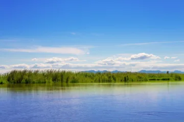 albufera