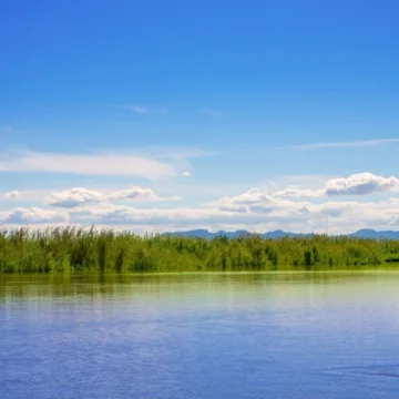 albufera