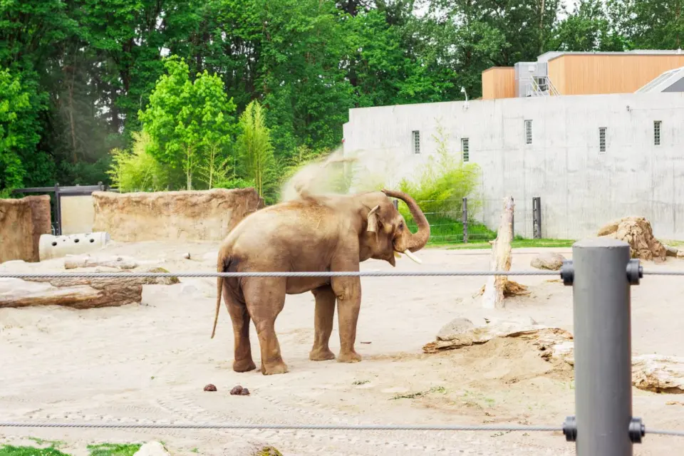 zoo pafos